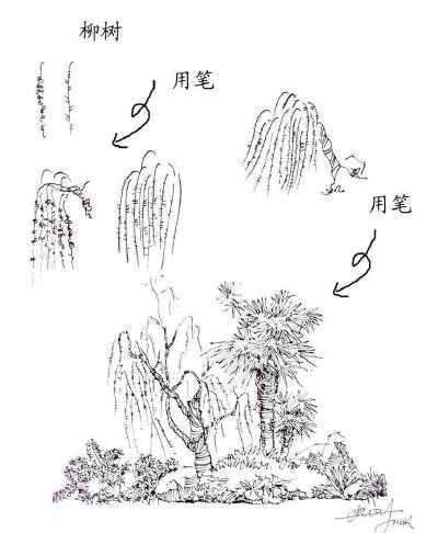 #绘画学习# 一些实用的 植物速写技法，累积下来了好资料，学习！