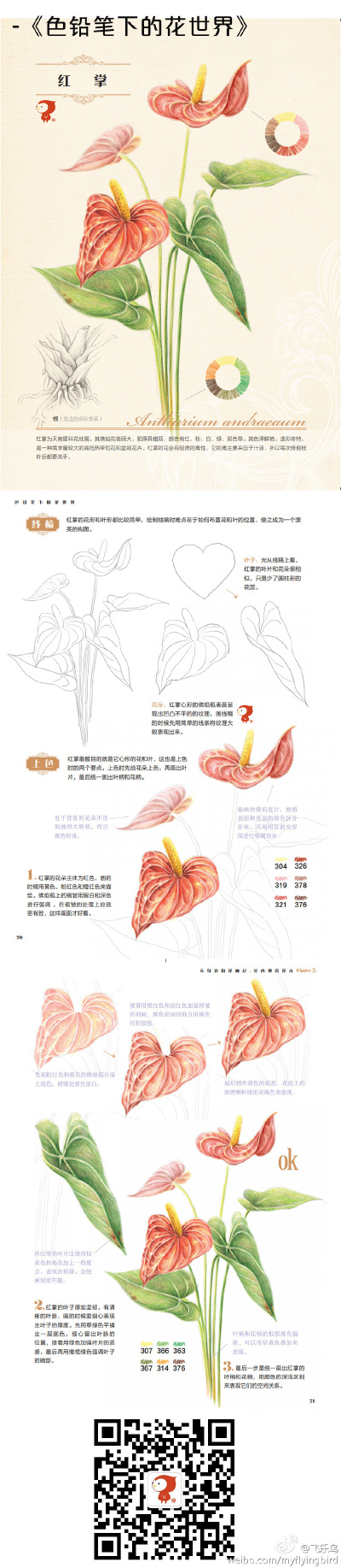 彩铅