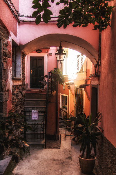 Vernazza,Cinque Terre, Italy(by Dennis Rogers)。意大利五渔村韦尔纳扎，是五渔村的五镇之一，座落在依山而建的层层葡萄架与柠檬树林下，是五渔村中最精致也是最热闹的小镇。小镇不大的港口旁是始建于1318年的圣玛…