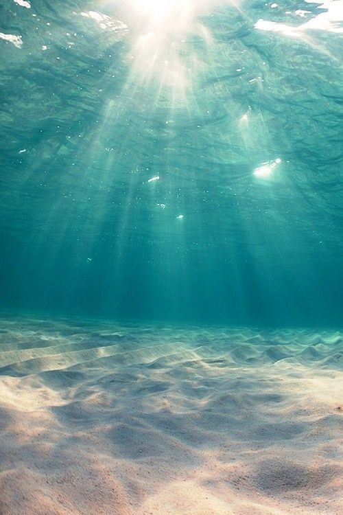 海蓝蓝