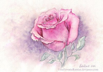 Zhanna Kabina水彩花卉插画欣赏