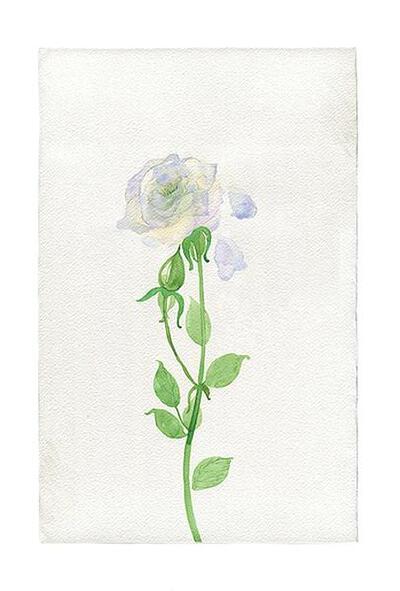 唯美手绘小花