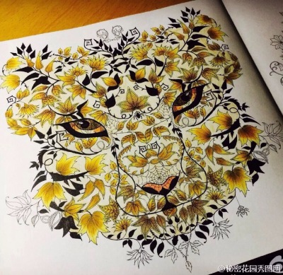 秘密花园