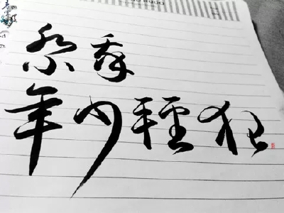 “ 杂秀 年少轻狂” ______________________________________青墨小店电源：ID天堂向左我向右 手写||侵删 至于杂秀什么意思，混二次元的应该知道(→v→)