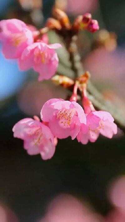 。