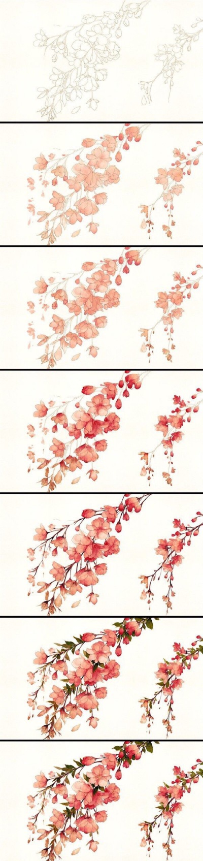 线稿