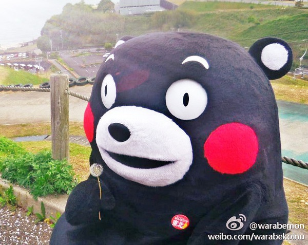 熊本熊 Kuma Mon Mono 部长 萌萌的 熊本县 吉祥物 黑熊 呆萌 日本