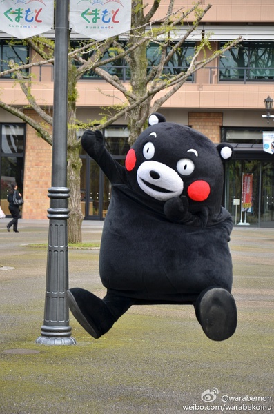 熊本熊 Kuma Mon Mono 部长 萌萌的 熊本县 吉祥物 黑熊 呆萌 日本