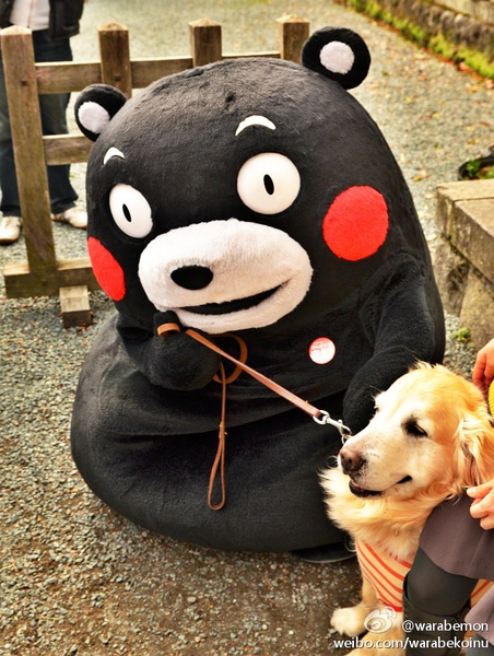 熊本熊 Kuma Mon Mono 部长 萌萌的 熊本县 吉祥物 黑熊 呆萌 日本