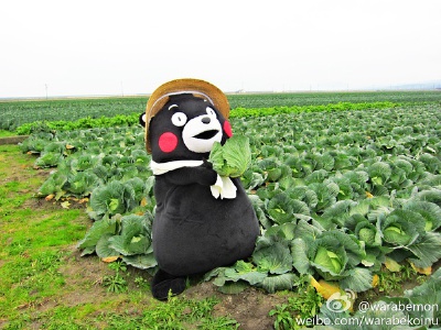 熊本熊 Kuma Mon Mono 部长 萌萌的 熊本县 吉祥物 黑熊 呆萌 日本