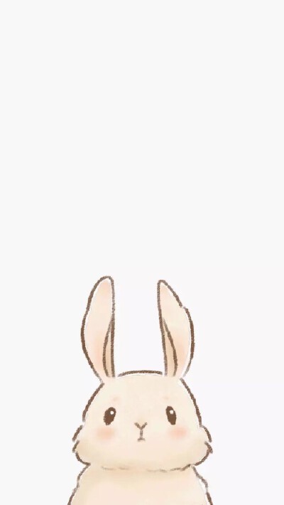 兔子