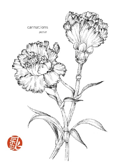 #飞乐鸟作品#《黑白花之绘》——用黑白重新诠释花之绘！喜欢色铅笔的精致细腻，喜欢水彩的快速洒脱，但无论哪一种画法都需要准备一大堆材料……不如试试看简单出效果的黑白画法吧！一支笔玩转线条，让你也能轻松画出…