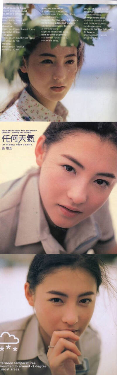张柏芝