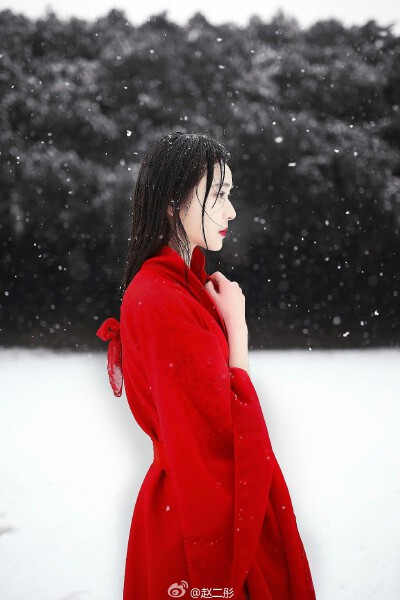 @赵仁彤