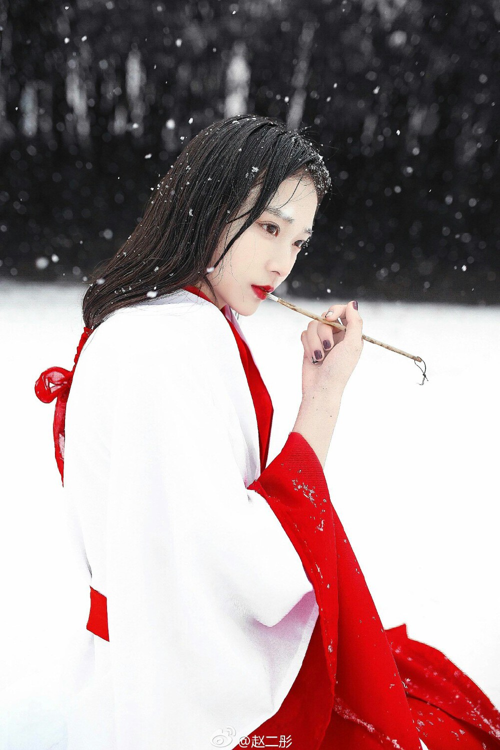 @赵仁彤
