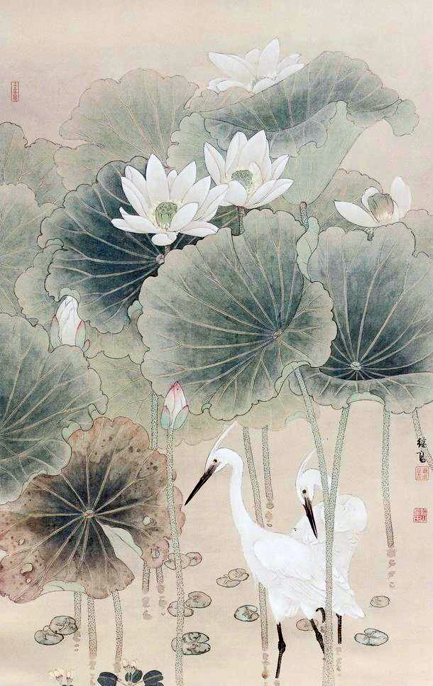 工笔画——荷与白鹭