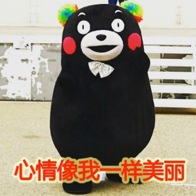 表情包 搞笑 熊本熊 冷漠