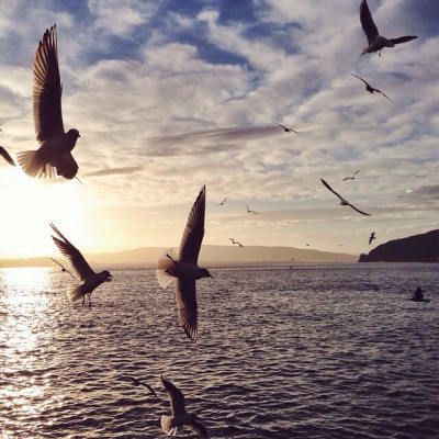 【ins】Ins：sezyilmaz…