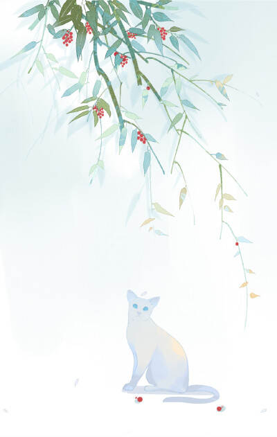 〔隔壁家的猫先生〕作者' ciao大榴莲