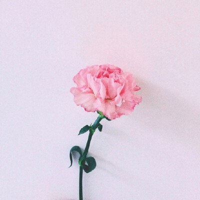 让人心情舒畅
