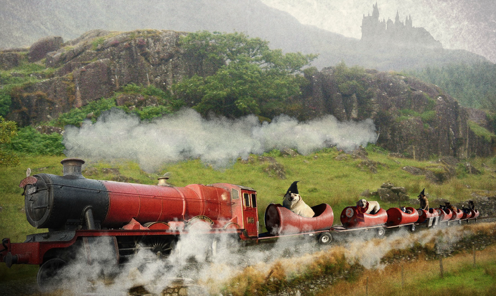 Harry Potter