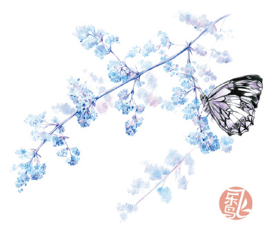 彩铅/插画/手绘