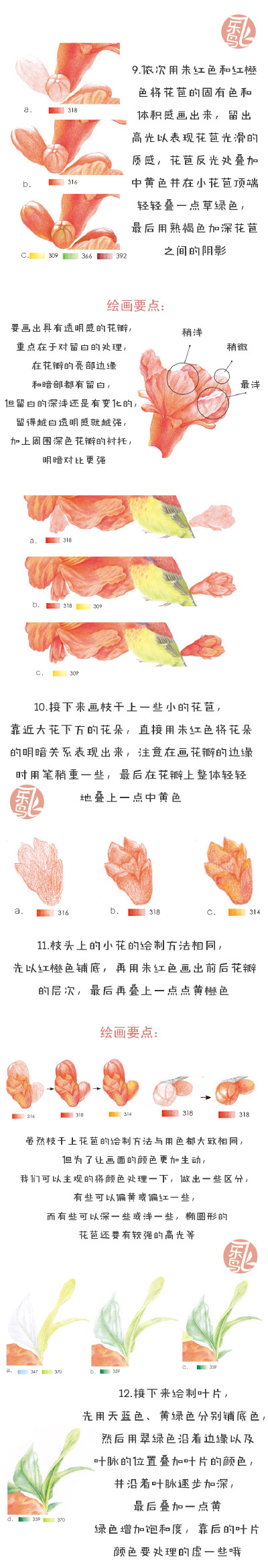 #飞乐鸟的周末绘时光# 据说花和鸟更配哟~