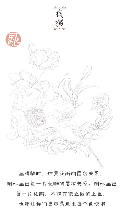 #飞乐鸟的周末绘时光# 据说花和鸟更配哟~