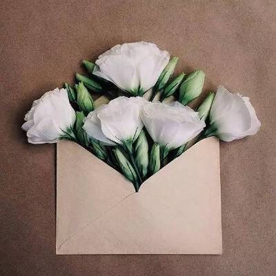 用信封装满鲜花送给你