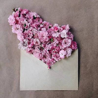 用信封装满鲜花送给你