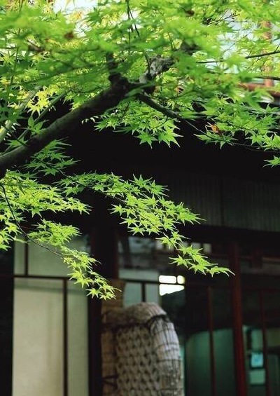门庭