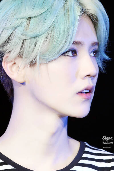EXO 鹿晗 luhan 明星 美男
