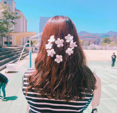 벚꽃머리樱花发型