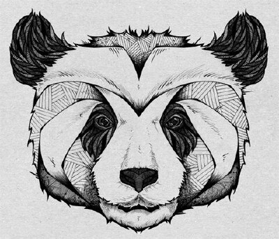 黑白线