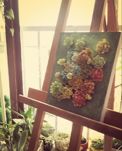 开心果壳装饰画，仿多肉植物，丙烯上色