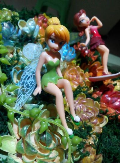 开心果壳花园局部