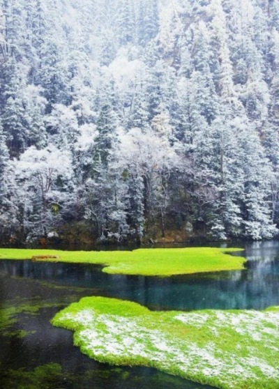 九寨沟——冬天里的九寨沟你看过吗？水依旧的蓝，草一样的绿，这是怎么的一种景色，仿佛季节在这里停滞了。