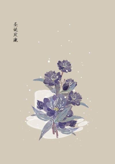 花草、水墨、封面、淡雅、唯美、插画、古风
