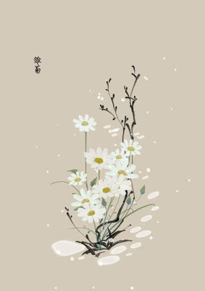 花草、水墨、封面、淡雅、唯美、插画、古风