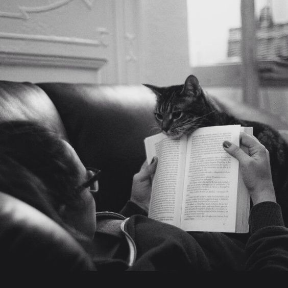 My Little Black Kitty 小黑猫 “主人陪我玩啦” ❤ From Pinterest