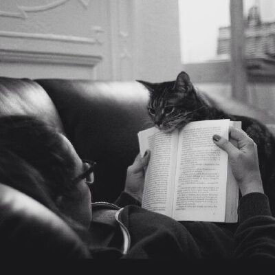 My Little Black Kitty 小黑猫 “主人陪我玩啦” ❤ From Pinterest
