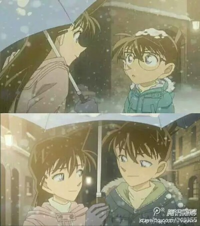 新兰