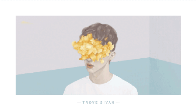 Troye Sivan 戳爷