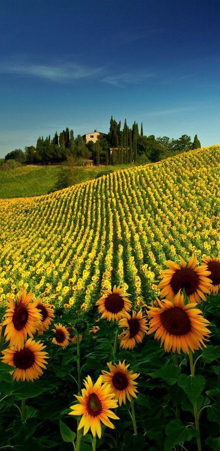 Tuscany, Italy