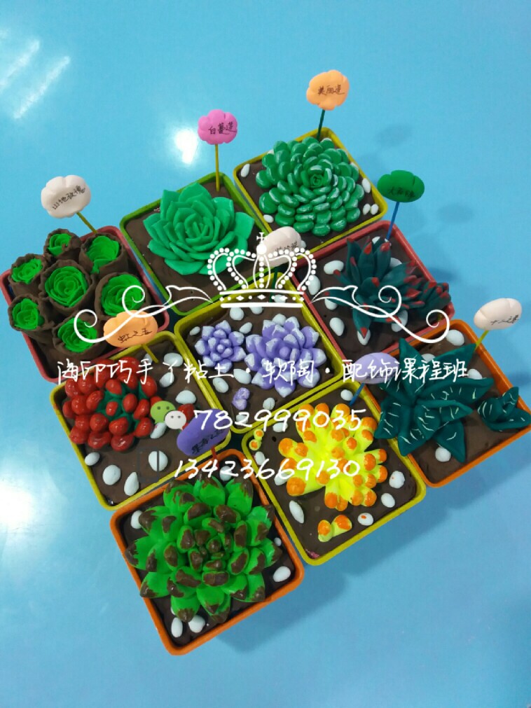 粘土植物，OK了