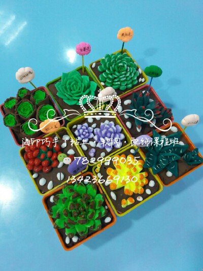粘土植物，OK了