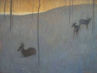 deer friend 树深时见鹿 [鹿之森。作者：David Grossmann