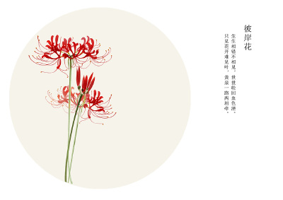 彼岸花