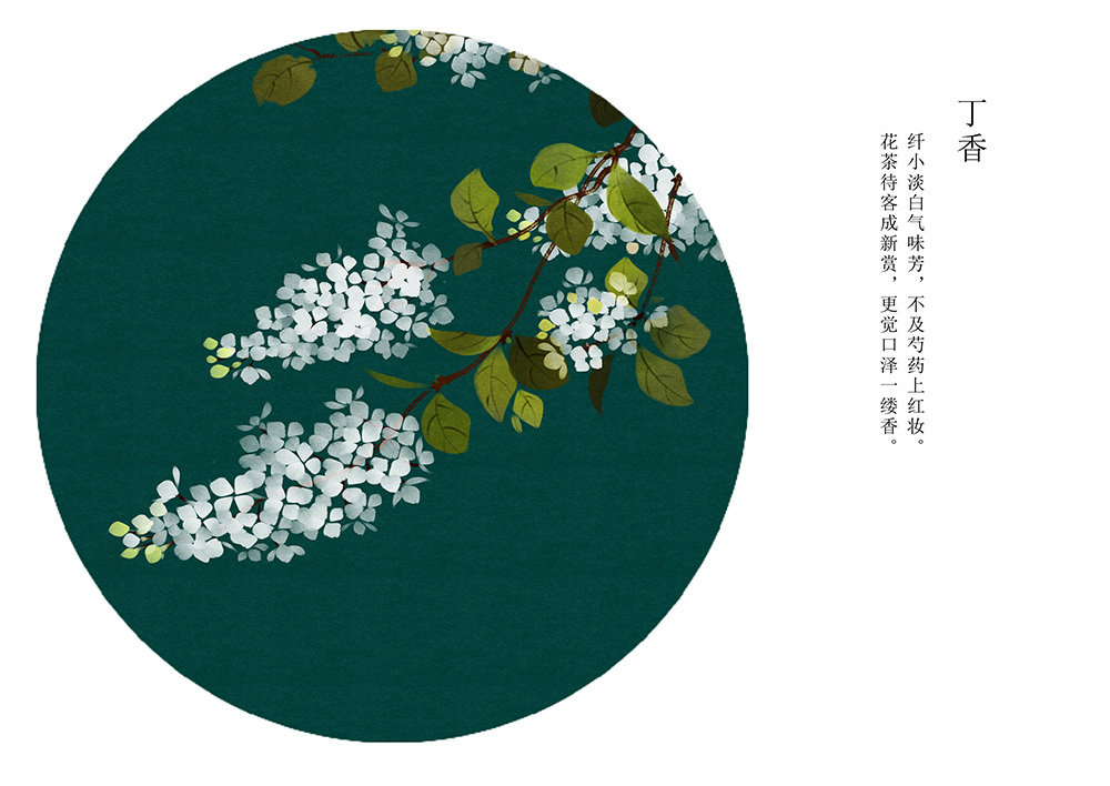 丁香