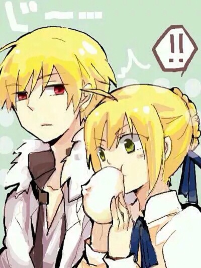 圣杯战争 双王党 saber archer